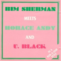 bim-sherman-meets-horace-andy-&-u-black_in-a-rub-a-dub-style