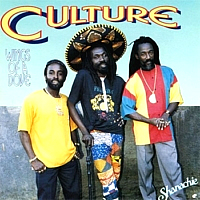 culture_wings-of-a-dove