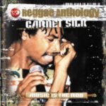 garnett-silk_music-is-the-rod