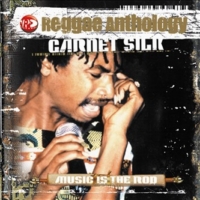 garnett-silk_music-is-the-rod