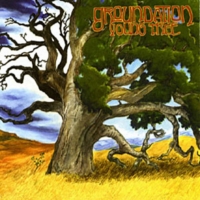 groundation_young-tree
