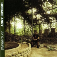 horace-andy_skylarking-best-of