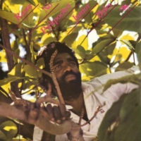 junior-byles_rasta-no-pickpocket