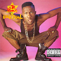 junior-demus_bad-fowl