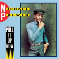 michael-palmer_pull-it-up-now