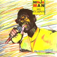 ninjaman_my-weapon