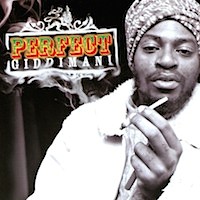 perfect_giddimani