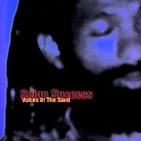 scion-success_voices-in-the-sand