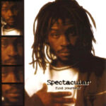 spectacular_find-yourself