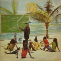 steel-pulse_true-democracy