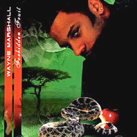 wayne-marshall_forbidden-fruit