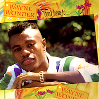 wayne-wonder_dont-have-to