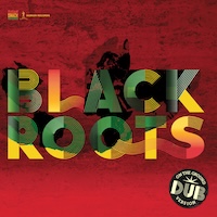 black-roots_on-the-ground-in-dub
