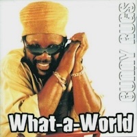 bunny-rugs_what-a-world