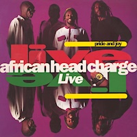 african-head-charge_pride-and-joy
