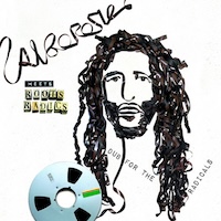 alborosie_dub-for-the-radicals