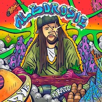 alborosie_dub-pirate