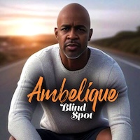 ambelique_blind-spot