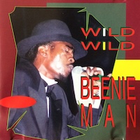 beenie-man_wild-wild
