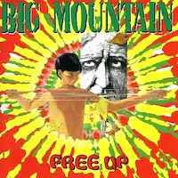 big-mountain_free-up
