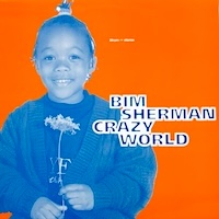 bim-sherman_crazy-world