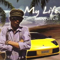bunny-lie-lie_my-life