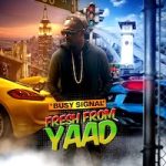 busy-signal_fresh-from-yaad